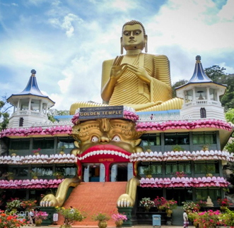 Overnight stay at The Wallawwa & Negombo