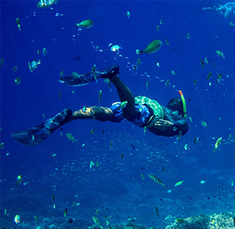 Experiences & Excursions - Trincomalee